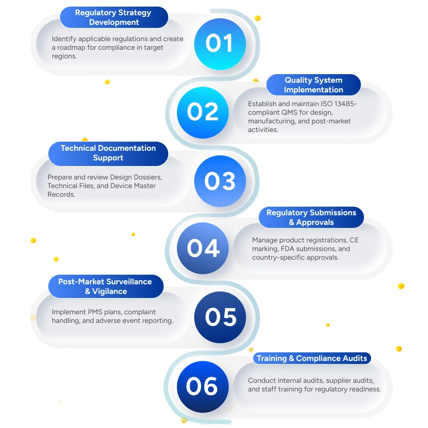Qms process infographics
