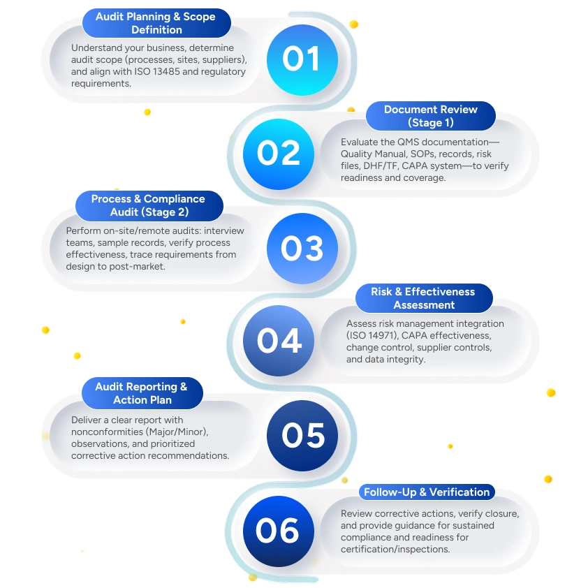 Qms process infographics