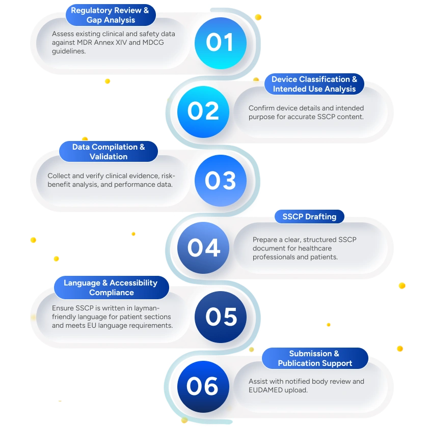 Qms process infographics